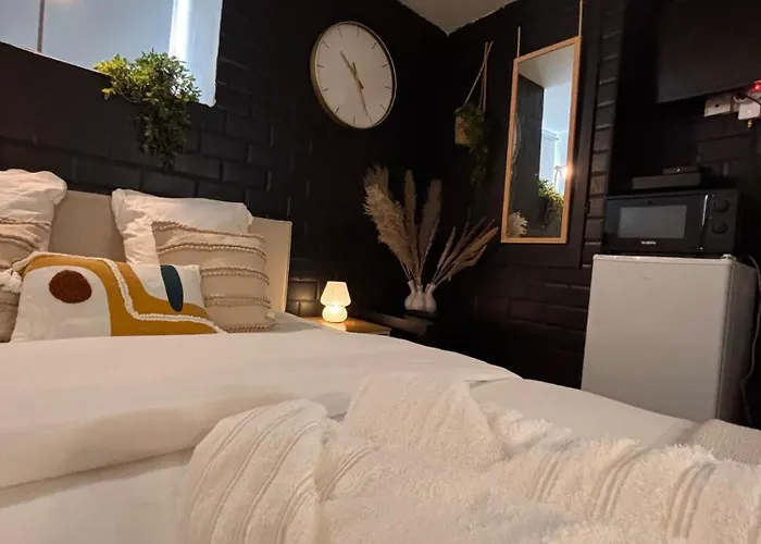 Studios Louis RICARD Rouen